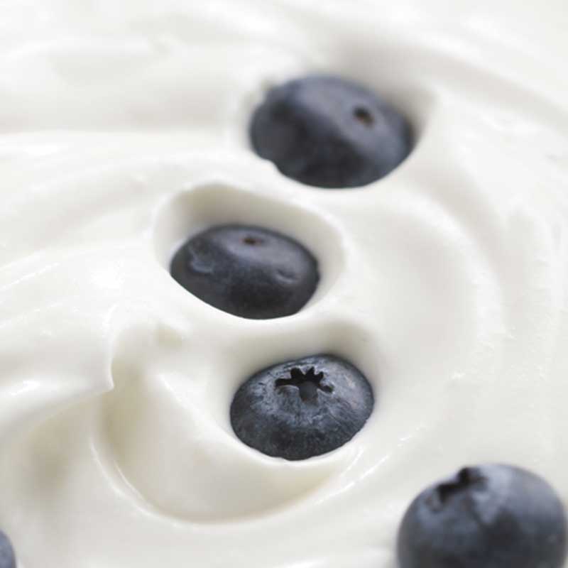 Biota ingredients yogurt